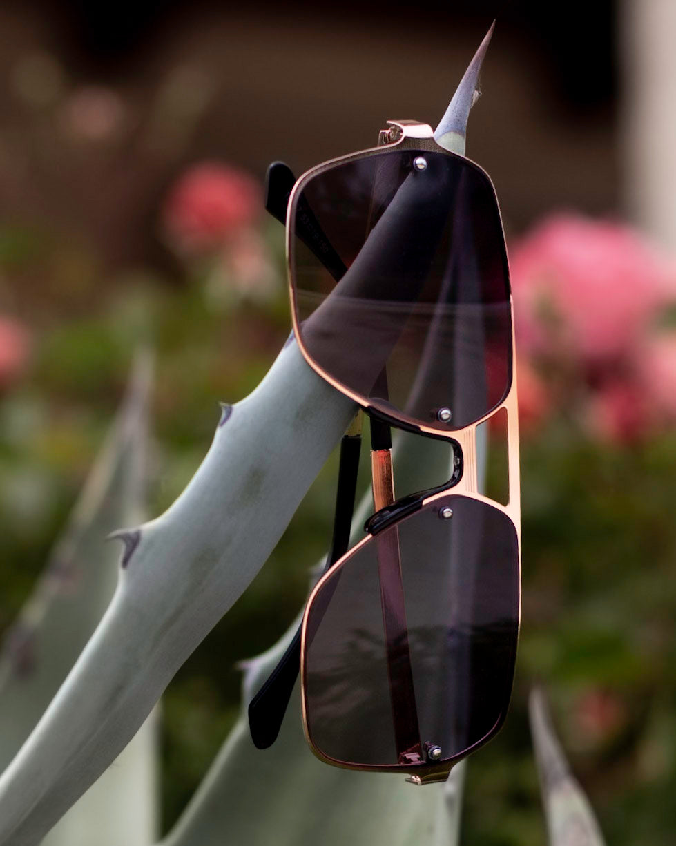 VEROLI SUNGLASSES