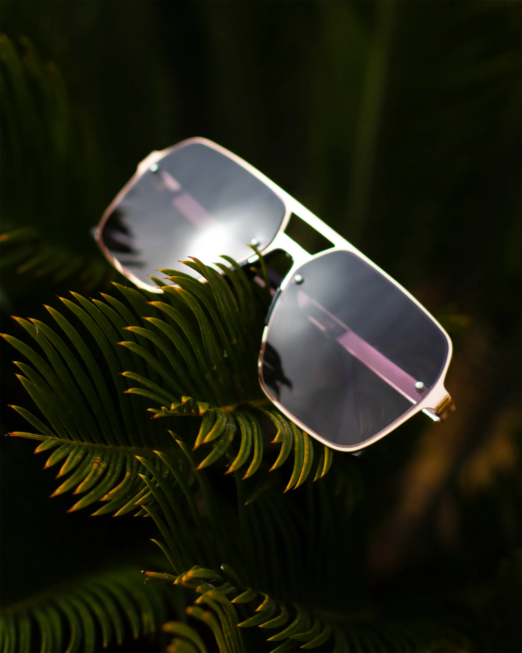 VEROLI SUNGLASSES
